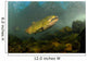 King Salmon Rogue River Wall Decal Design 2