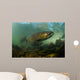 King Salmon Rogue River Wall Decal Design 1