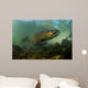 King Salmon Rogue River Wall Decal Design 1