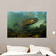 King Salmon Rogue River Wall Decal Design 1
