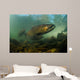 King Salmon Rogue River Wall Decal Design 1