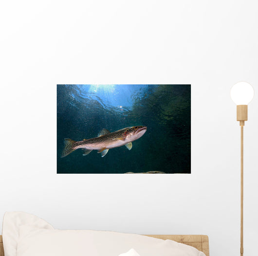Coastal Cutthroat Trout Smith Wall Decal Design 4