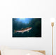 Coastal Cutthroat Trout Smith Wall Decal Design 4