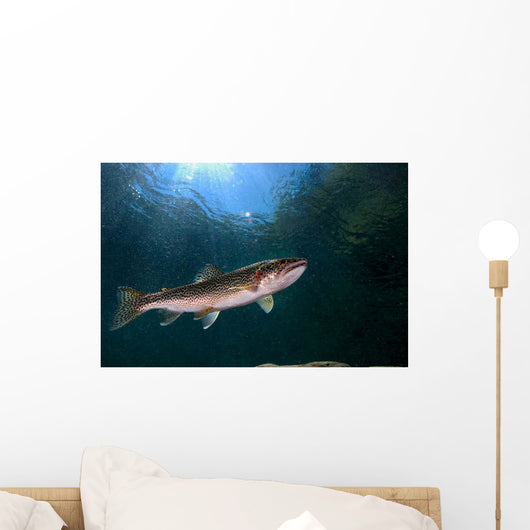 Coastal Cutthroat Trout Smith Wall Decal Design 4