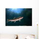 Coastal Cutthroat Trout Smith Wall Decal Design 4