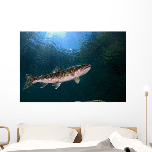 Coastal Cutthroat Trout Smith Wall Decal Design 4