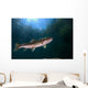 Coastal Cutthroat Trout Smith Wall Decal Design 4