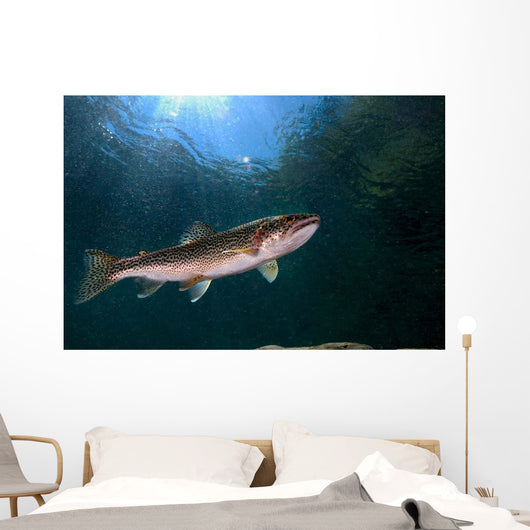 Coastal Cutthroat Trout Smith Wall Decal Design 4