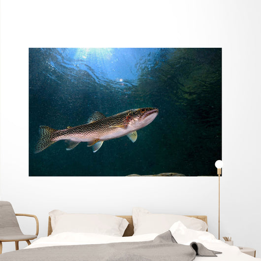Coastal Cutthroat Trout Smith Wall Decal Design 4