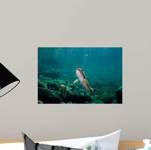 Coastal Cutthroat Trout Smith Wall Decal Design 3