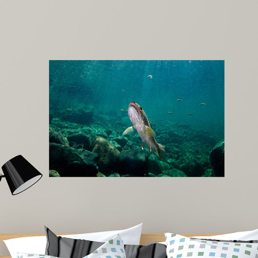 Coastal Cutthroat Trout Smith Wall Decal Design 3
