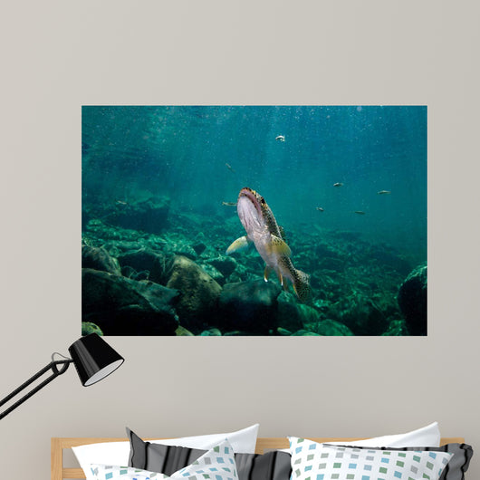 Coastal Cutthroat Trout Smith Wall Decal Design 3