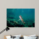 Coastal Cutthroat Trout Smith Wall Decal Design 3