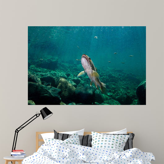 Coastal Cutthroat Trout Smith Wall Decal Design 3