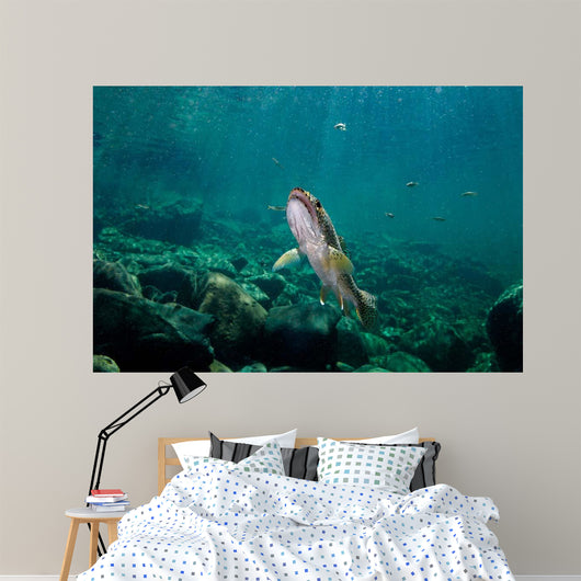 Coastal Cutthroat Trout Smith Wall Decal Design 3