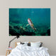 Coastal Cutthroat Trout Smith Wall Decal Design 3