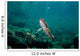 Coastal Cutthroat Trout Smith Wall Decal Design 3