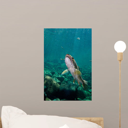 Coastal Cutthroat Trout Smith Wall Decal Design 2