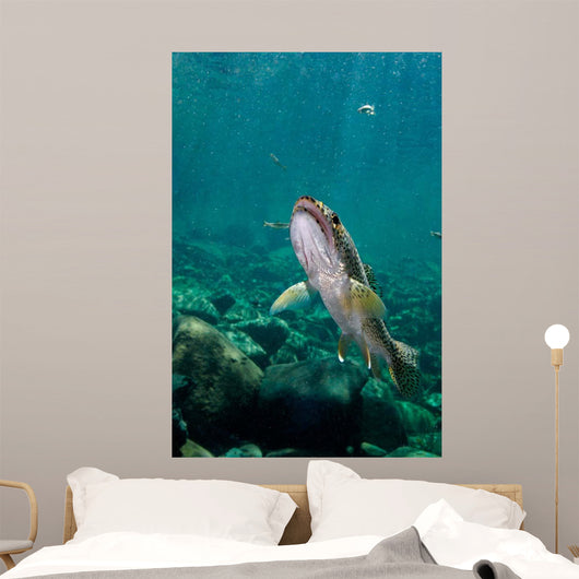 Coastal Cutthroat Trout Smith Wall Decal Design 2