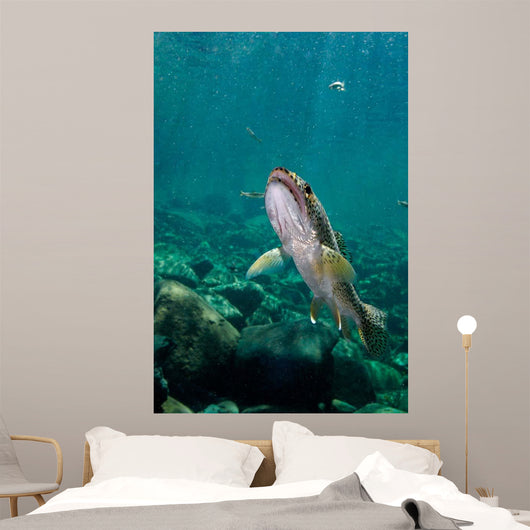 Coastal Cutthroat Trout Smith Wall Decal Design 2