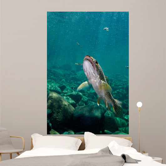 Coastal Cutthroat Trout Smith Wall Decal Design 2