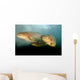 Rainbow Trout Rogue River Wall Decal Design 2