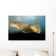 Rainbow Trout Rogue River Wall Decal Design 2