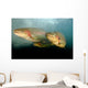 Rainbow Trout Rogue River Wall Decal Design 2