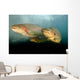 Rainbow Trout Rogue River Wall Decal Design 2