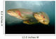 Rainbow Trout Rogue River Wall Decal Design 2
