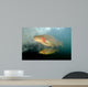 Rainbow Trout Rogue River Wall Decal Design 1
