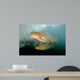 Rainbow Trout Rogue River Wall Decal Design 1