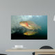 Rainbow Trout Rogue River Wall Decal Design 1