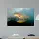 Rainbow Trout Rogue River Wall Decal Design 1