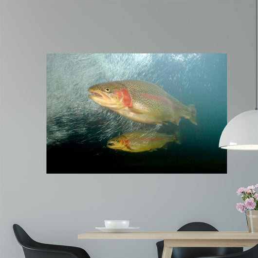 Rainbow Trout Rogue River Wall Decal Design 1