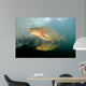 Rainbow Trout Rogue River Wall Decal Design 1