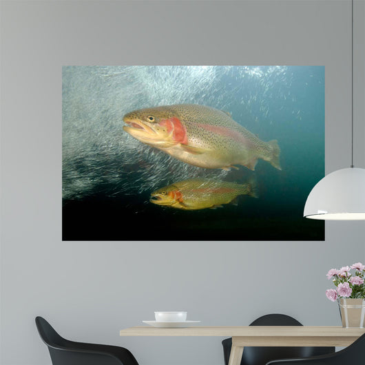 Rainbow Trout Rogue River Wall Decal Design 1