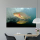 Rainbow Trout Rogue River Wall Decal Design 1