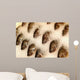 Tilapia Ice Seafood Market Wall Decal