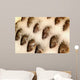 Tilapia Ice Seafood Market Wall Decal