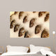 Tilapia Ice Seafood Market Wall Decal