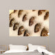 Tilapia Ice Seafood Market Wall Decal