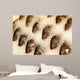 Tilapia Ice Seafood Market Wall Decal