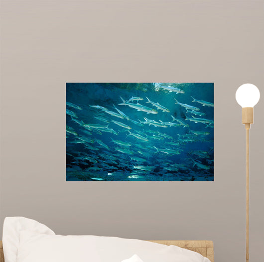 School Ladyfish Silver Glen Wall Decal
