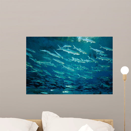School Ladyfish Silver Glen Wall Decal