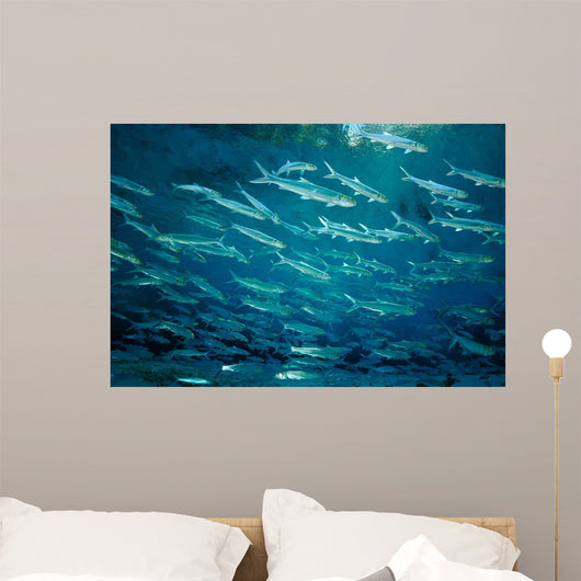 School Ladyfish Silver Glen Wall Decal