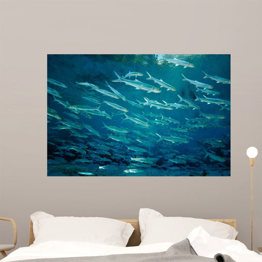 School Ladyfish Silver Glen Wall Decal