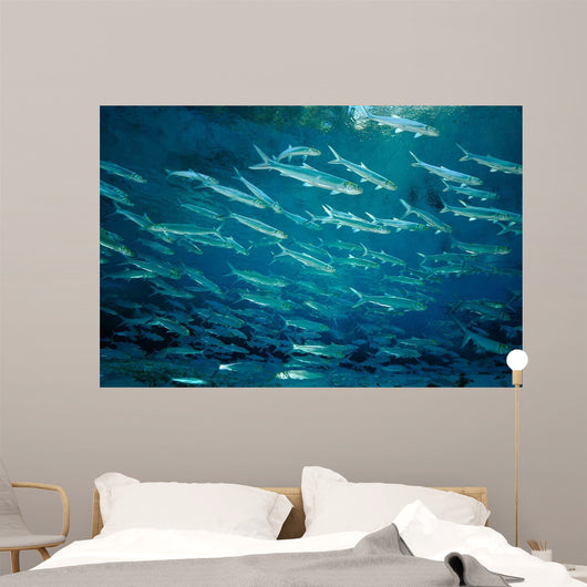 School Ladyfish Silver Glen Wall Decal