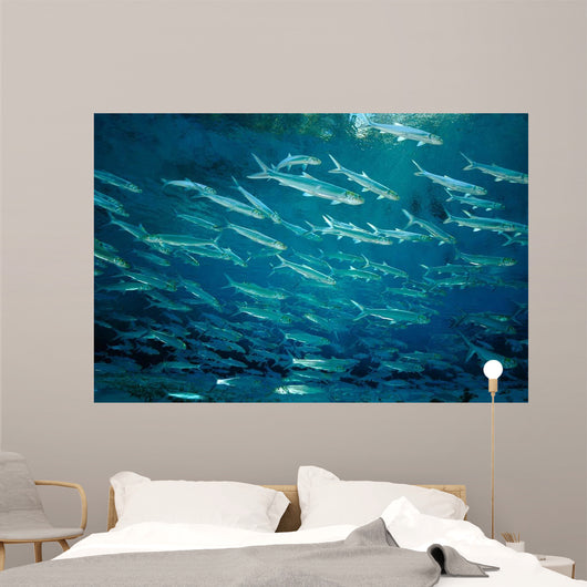 School Ladyfish Silver Glen Wall Decal