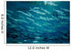 School Ladyfish Silver Glen Wall Decal